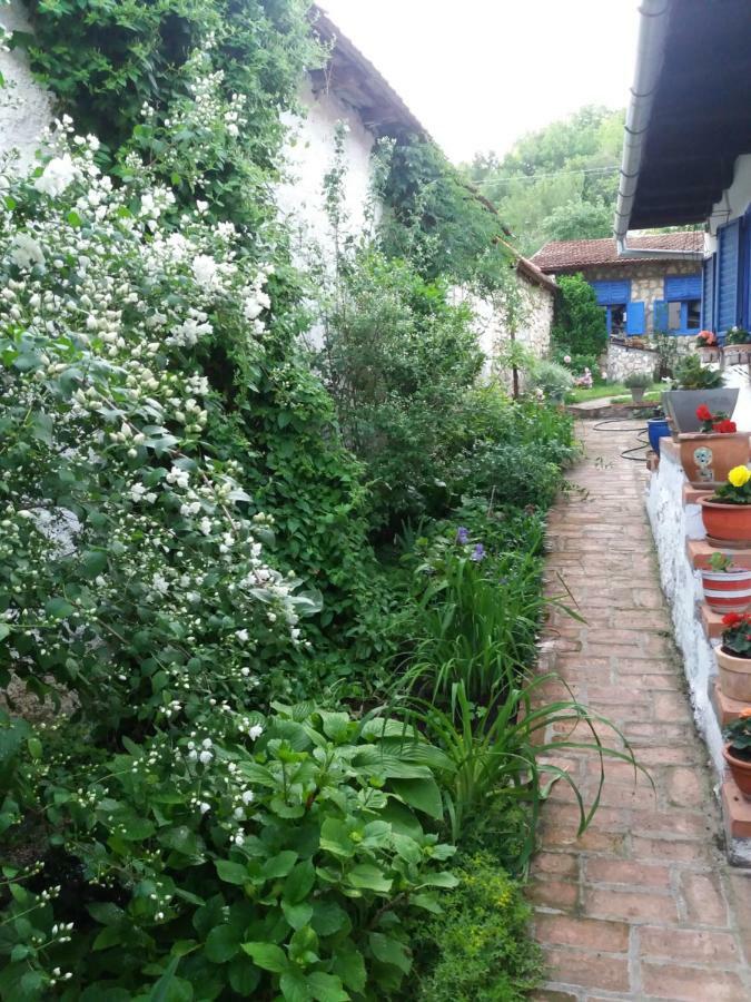 Villa Casa Anca Cheile Nerei Sokolar Exterior foto