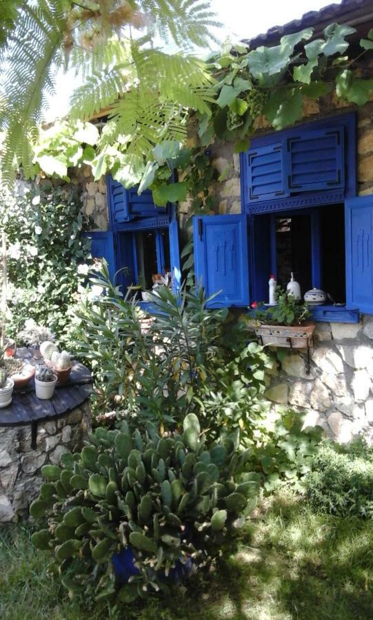 Villa Casa Anca Cheile Nerei Sokolar Exterior foto